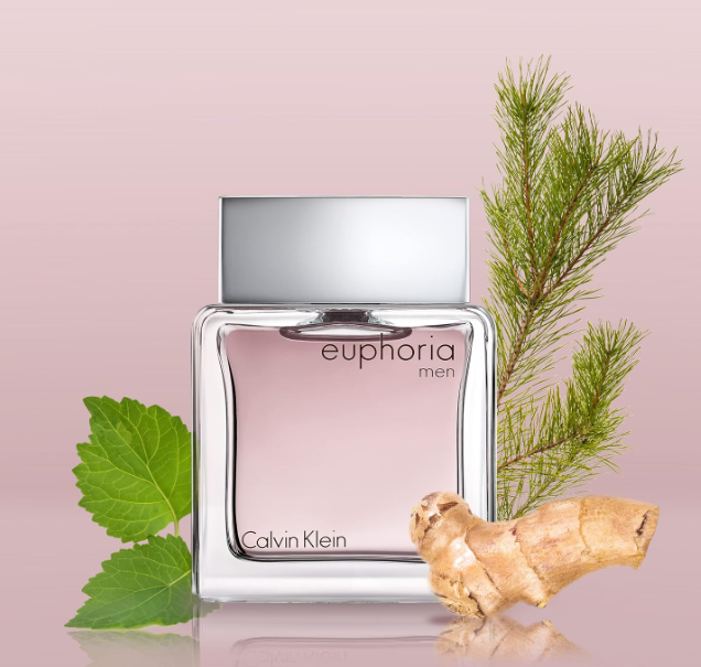 Calvin Klein Euphoria EDT Spray for Men 100ml
