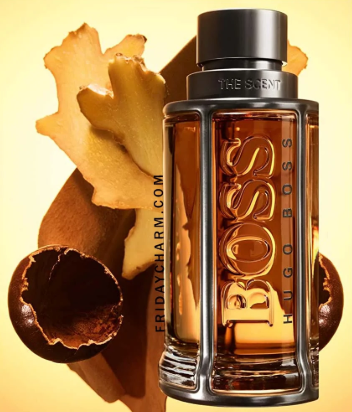 Hugo Boss The Scent Eau De Toilette For Men 100ML