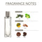 Ajmal Titanium EDP Citrus Spicy Perfume 100ml for Men and Aura Concentrated Perfume Oil Floral Fruity Alcohol-free Attar 10ml for Unisex