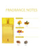 Ajmal Dawn for Men and Women (Unisex) EDP - Eau De Parfum 90ml